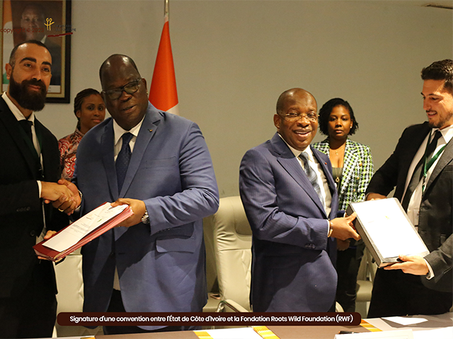 Signature d'une convention entre l'État de Côte d'Ivoire et la Fondation Roots Wild Foundation (RWF) pour la restauration du couvert forestier national grâce à un partenariat public-privé.